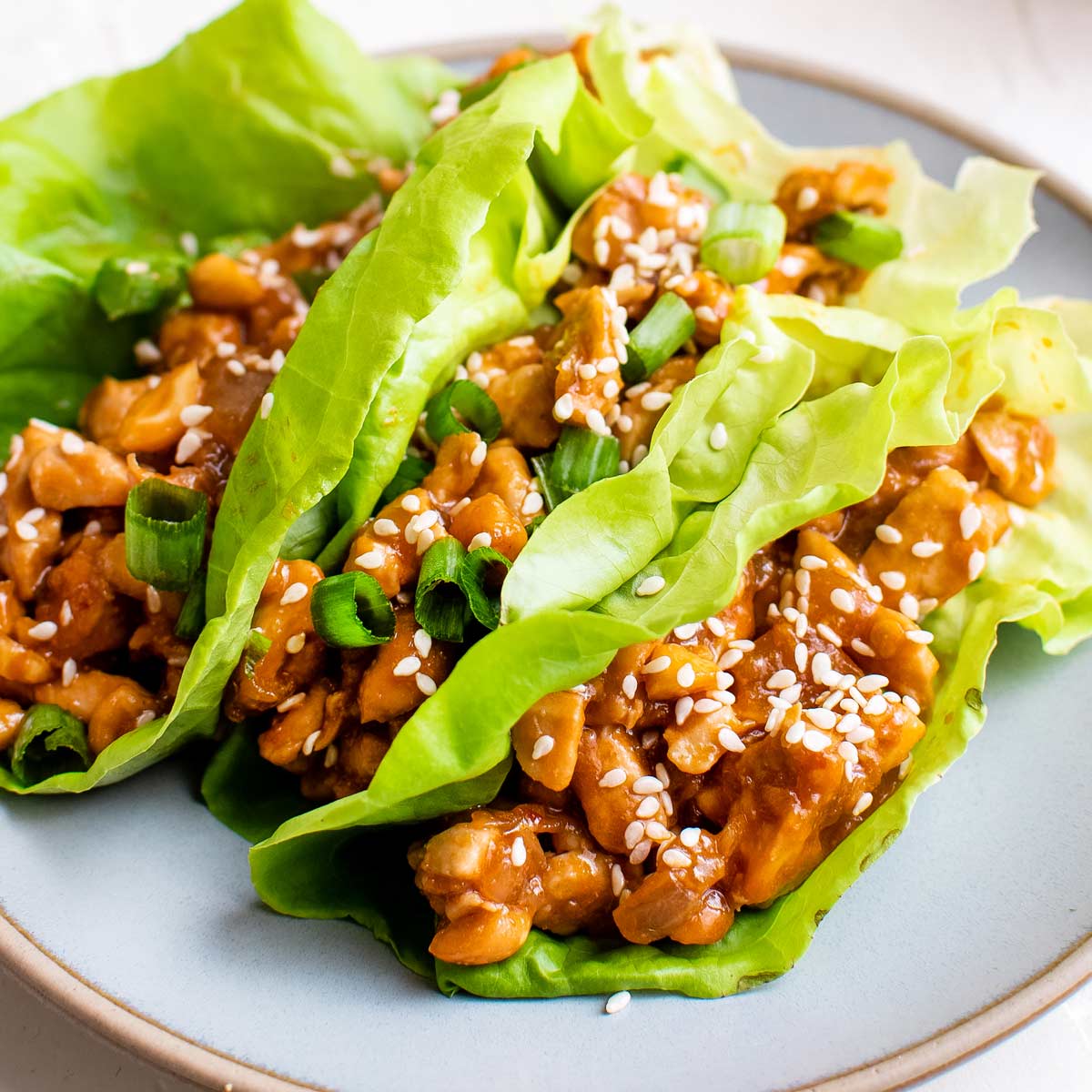 Asian-Style Chicken Lettuce Wraps