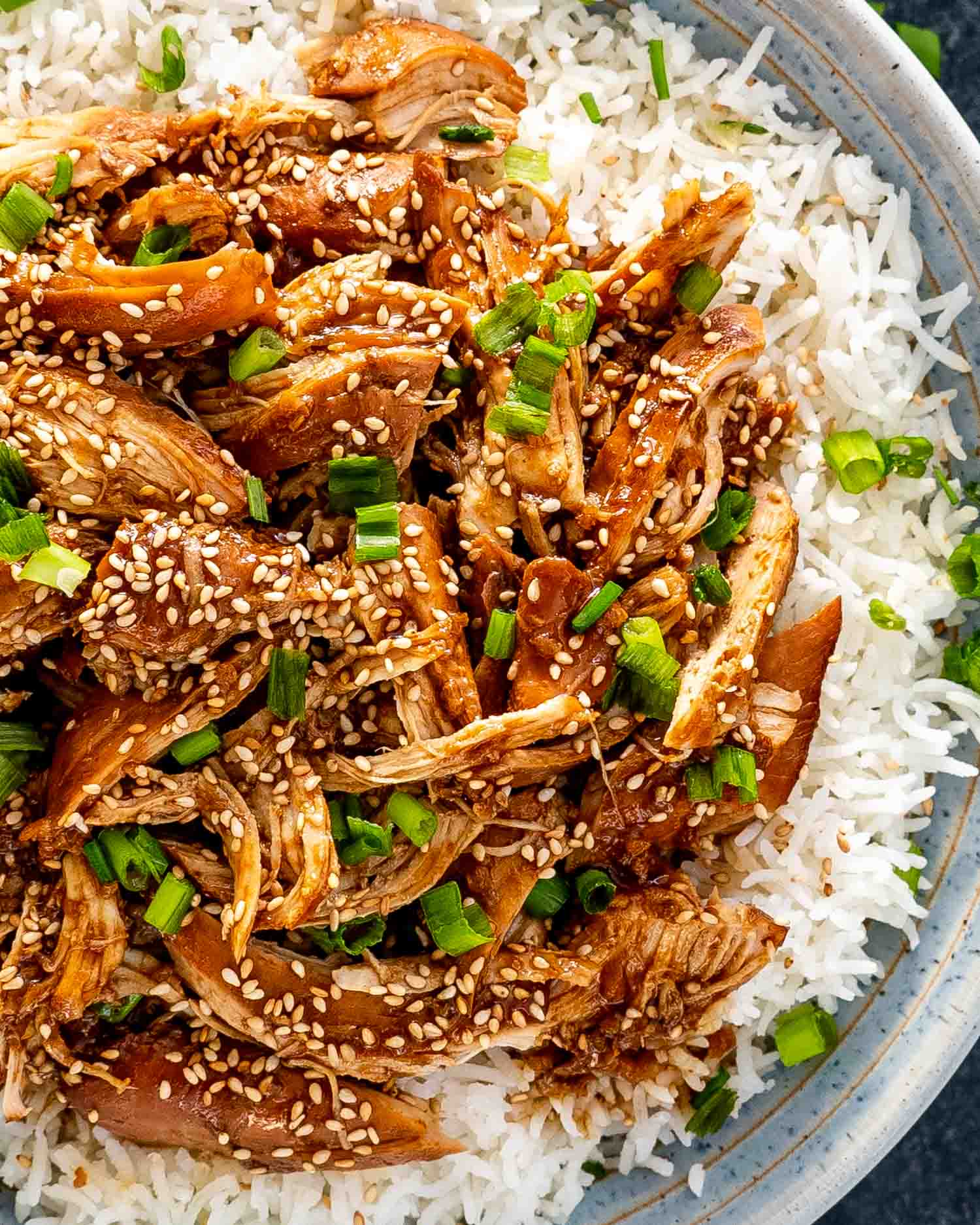 Slow Cooker Teriyaki Chicken