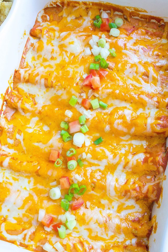 Easy Enchiladas Recipe